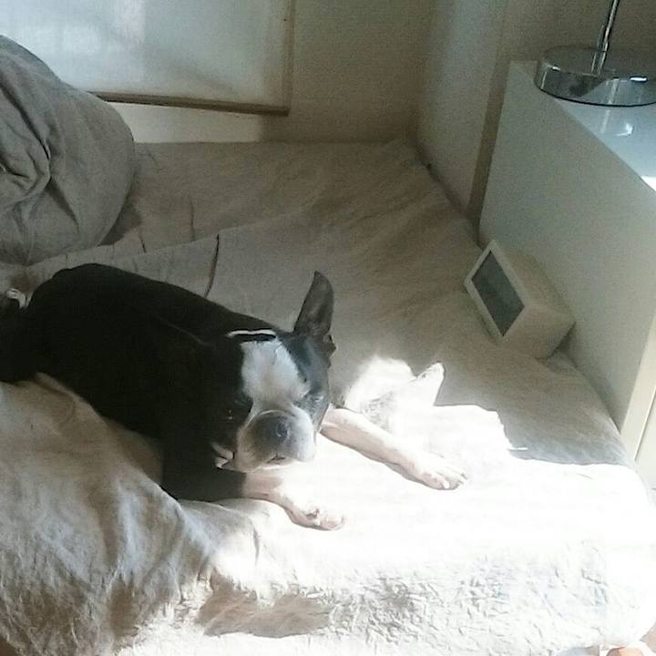 E1e99f37 4ec7 4934 96b2 576fa0e6f304