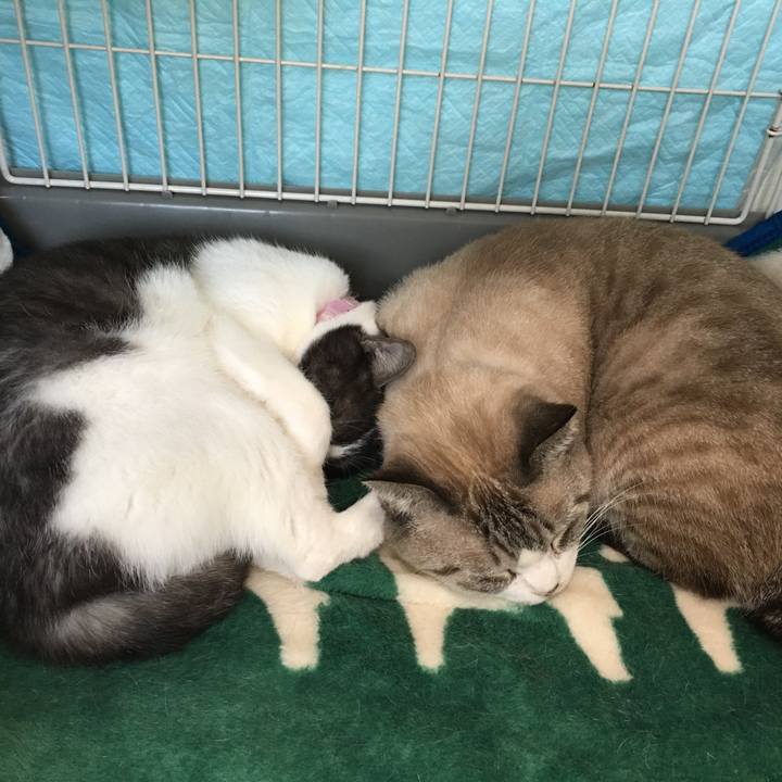 E1e9c7e3 97b2 4d3d 9b69 4ecf02af4b7b