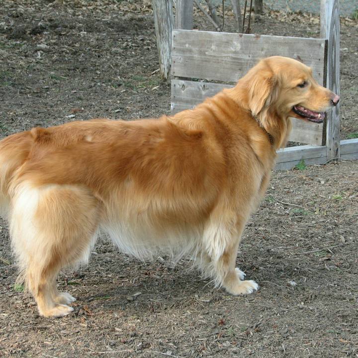 E1e9f8e1 5ea0 4880 a981 b59be8a40af5