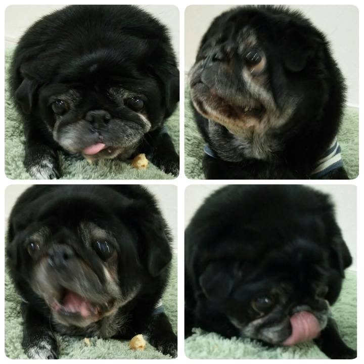 E1eabcc1 a87a 442a 9125 e3667636005c