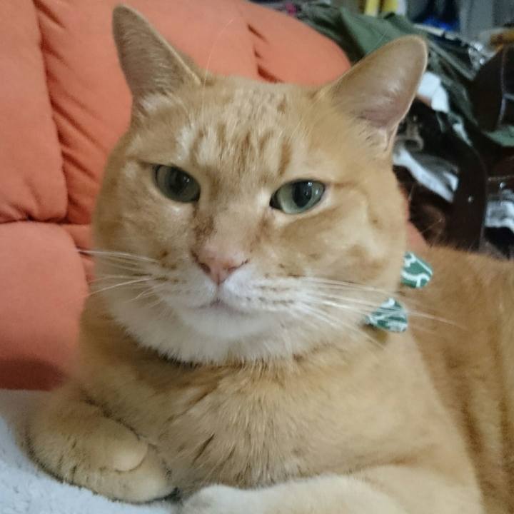 E1eb4c4f 8456 48da 8a5c 01e8c5122bfe