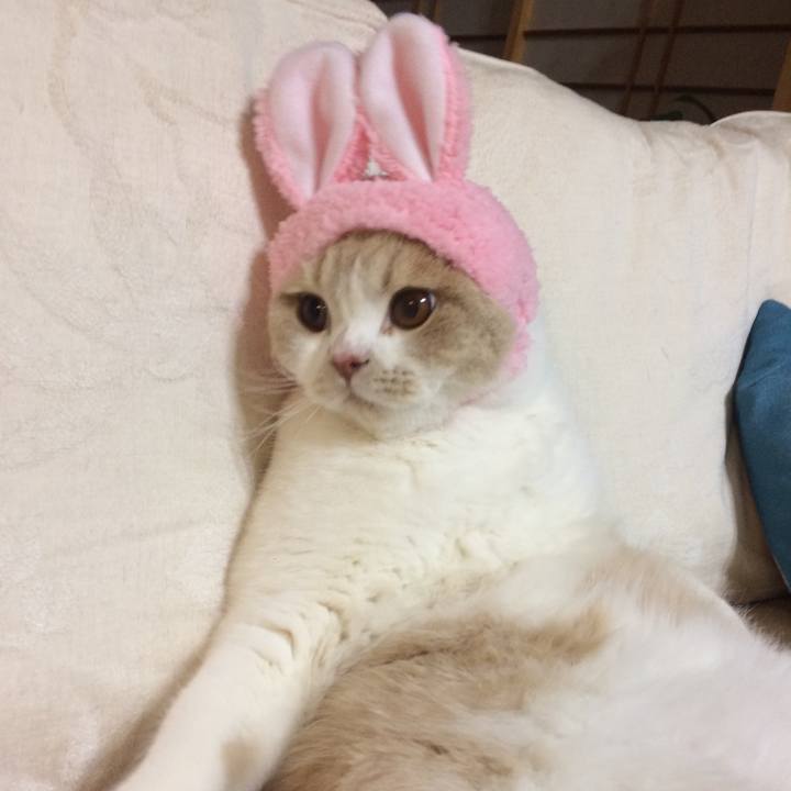 E1ec09c0 4dd7 4fb2 b8f7 85a258eefc35