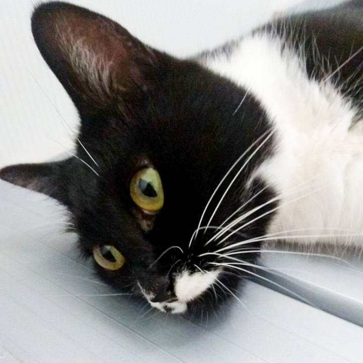 E1ec3b18 9b5b 46e1 ac78 76e88d6a1cc2