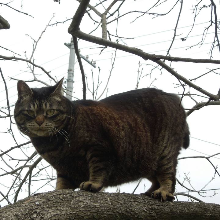 E1ec42b9 3588 42a6 a163 64d7e7ea052f