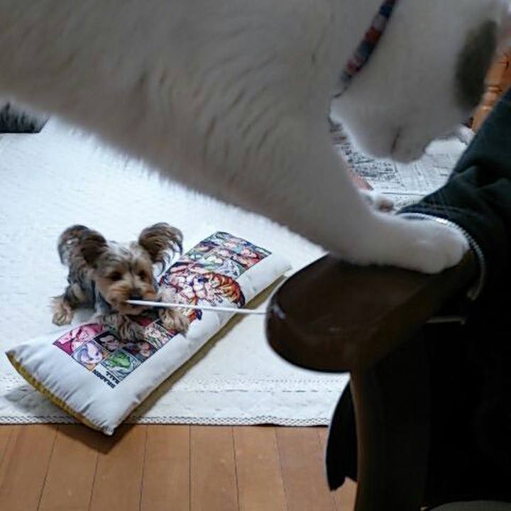 E1ecd9ca 8d78 495a b66a ff6d21187fb0