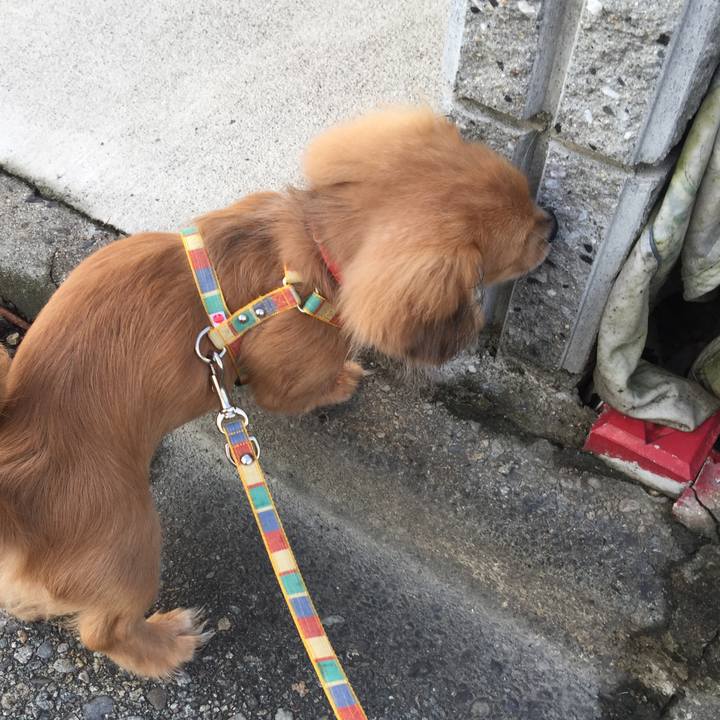 E1ece835 0d8c 46ef b651 fd309671fb9d