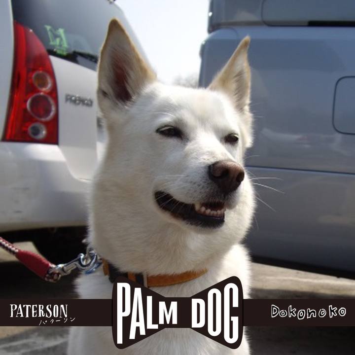 E1ed2ffb 7580 4a55 a679 e917f6d84dc9