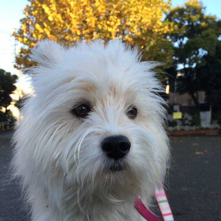 E1ed437f 2246 4dc1 8971 e7c5804e648d