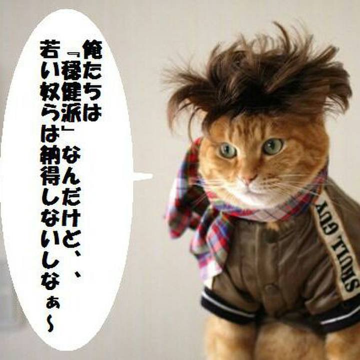 E1ed5e1e 6e31 4225 9b8b 0af272d16a90