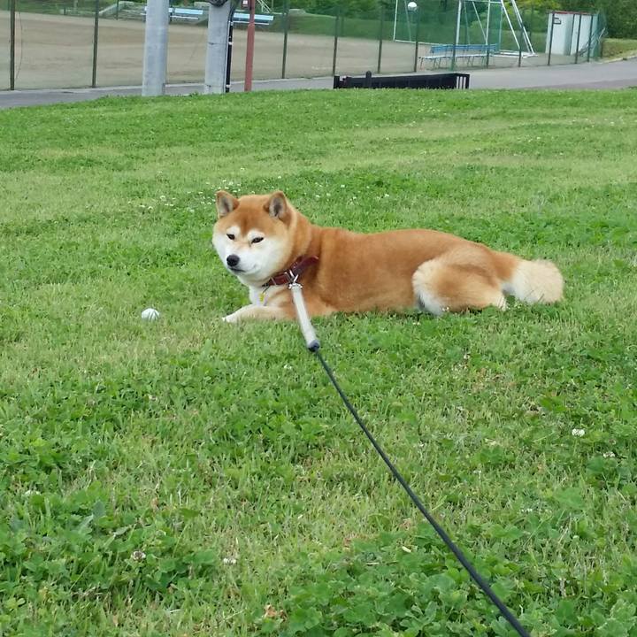 E1ed70dc 0880 459e b10f 2d74b4889d43