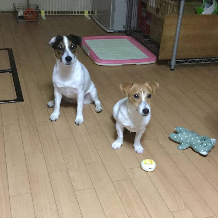 E1ee85a3 a90f 43e0 bbbd 1eb0b67fef6c