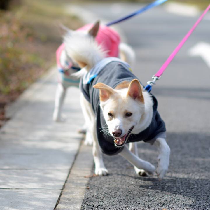 E1eecf14 fbbc 44be a2a1 0698dd4deb06