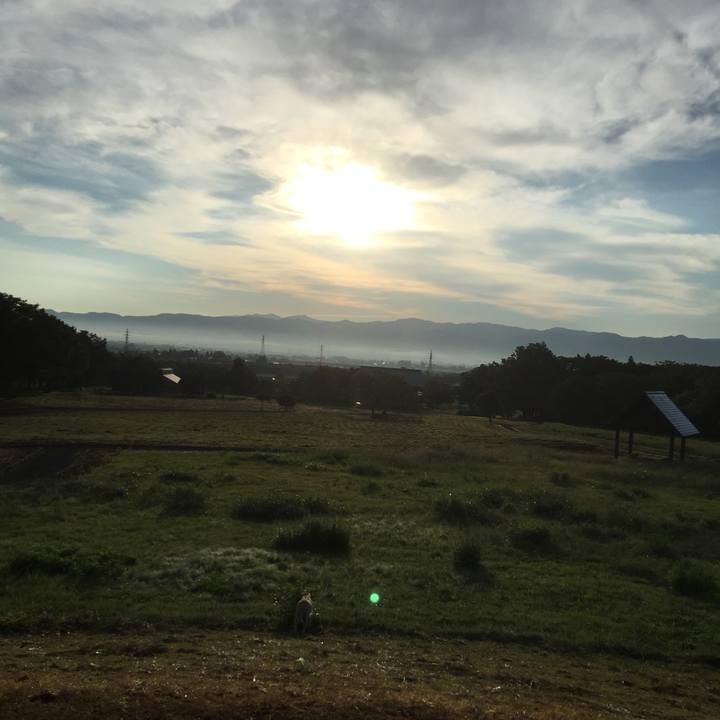 E1eee056 0c0e 4b5b a94b d6e8c421f922