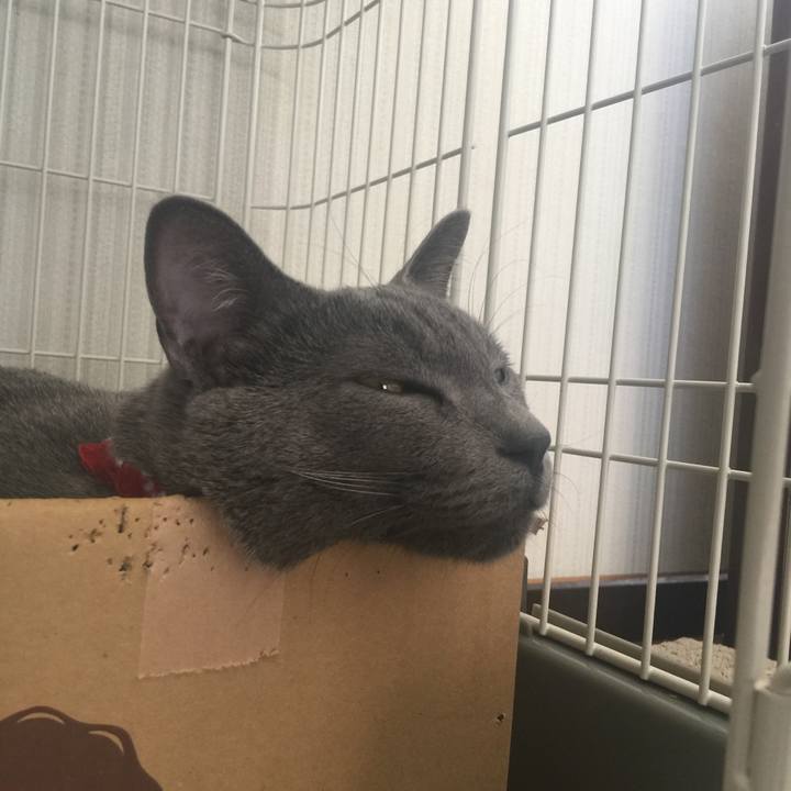 E1eee5f0 825e 4228 a89f 38b36a0e4ecf