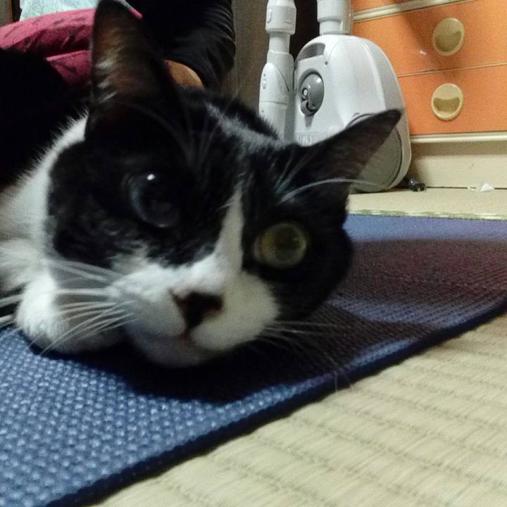 E1ef2643 20cd 4ef2 9e4a 36958fd580a2