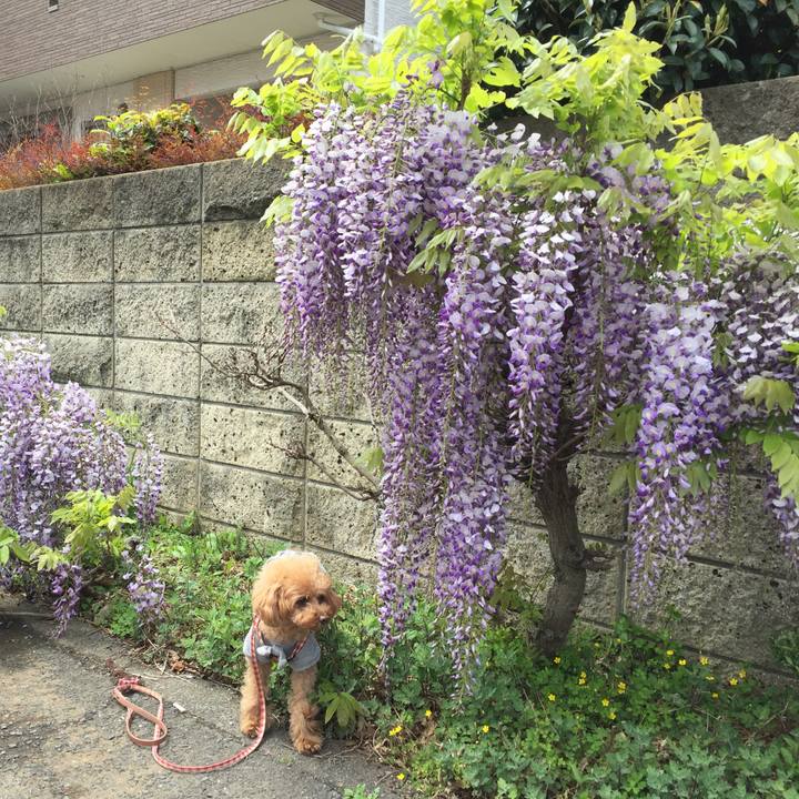 E1ef4924 4171 49b2 a6a3 06ef6925f49b