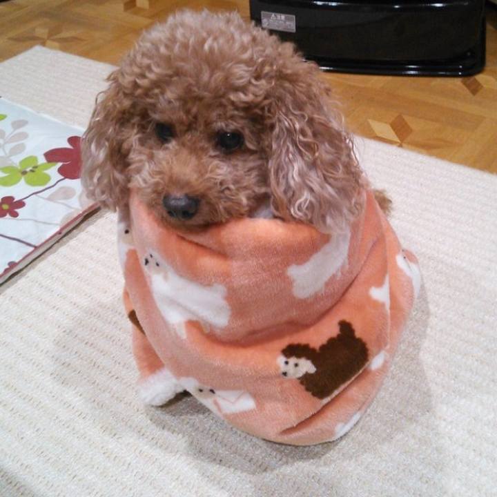 E1efa628 8de0 4b96 97eb 107bfdf19679