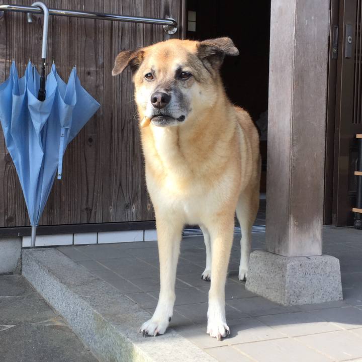 E1f04b5b 3686 4bc3 ad7d 6e878a9d234e