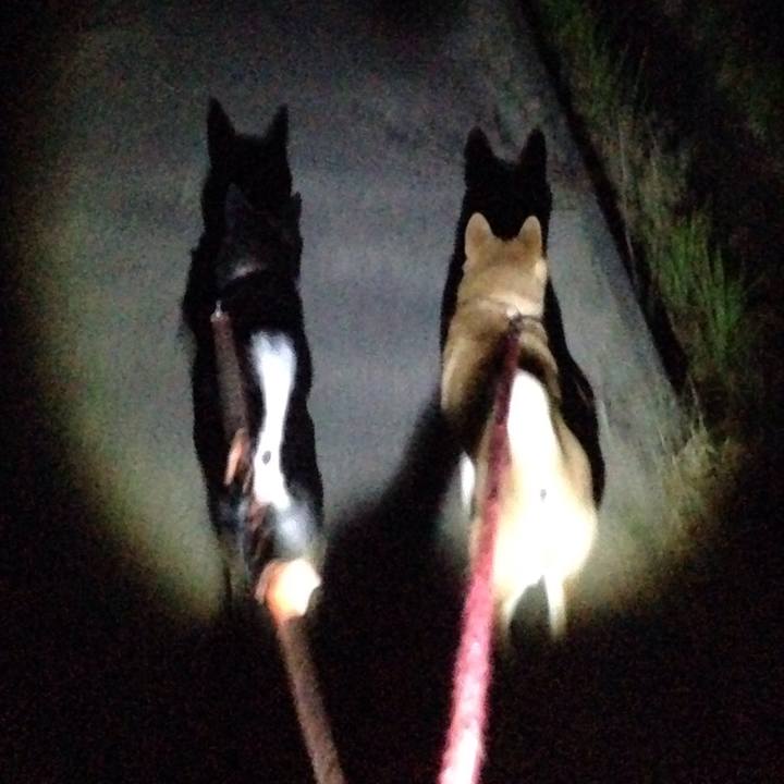 E1f06b68 0ee7 4edb 9ff3 3b1c727c7676