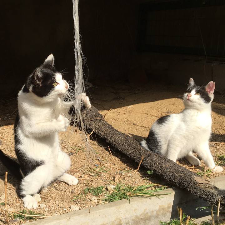 E1f113f4 2c3e 42e0 a978 01e58eedc73a