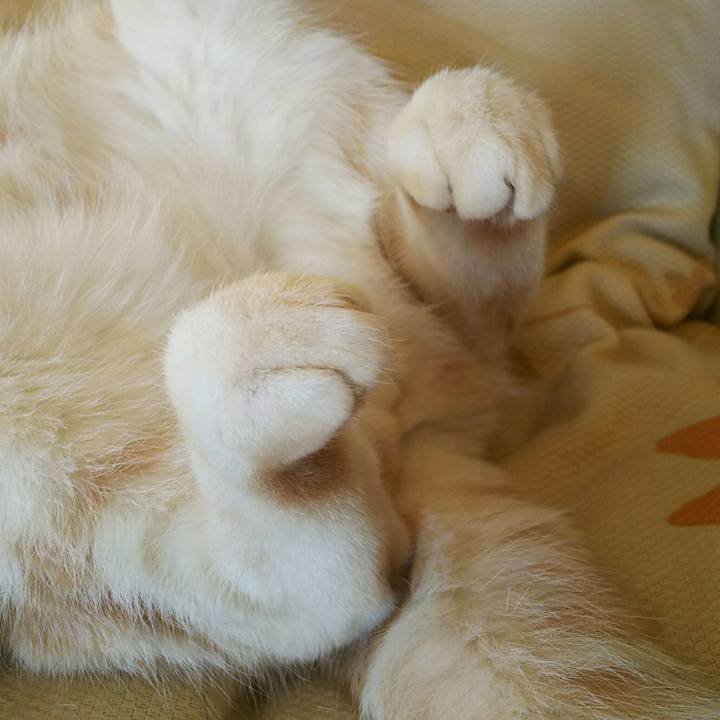 E1f18b84 41b4 40f1 8839 82efac09d2f8