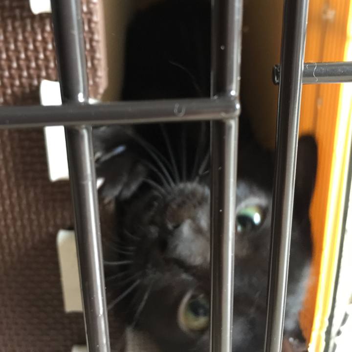 E1f1a529 2d8d 449e bd78 8cfa89611d80