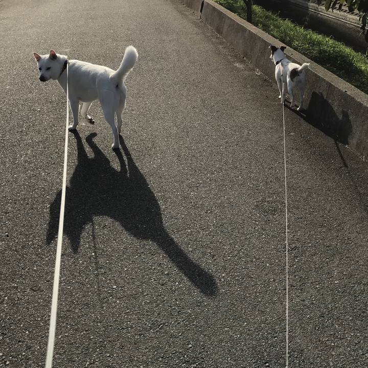 E1f2372d 61a7 4a10 bfe4 fa90a4a8cb6e