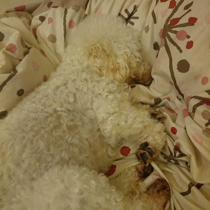 E1f26b77 333a 4fa0 92eb fddff81cb100