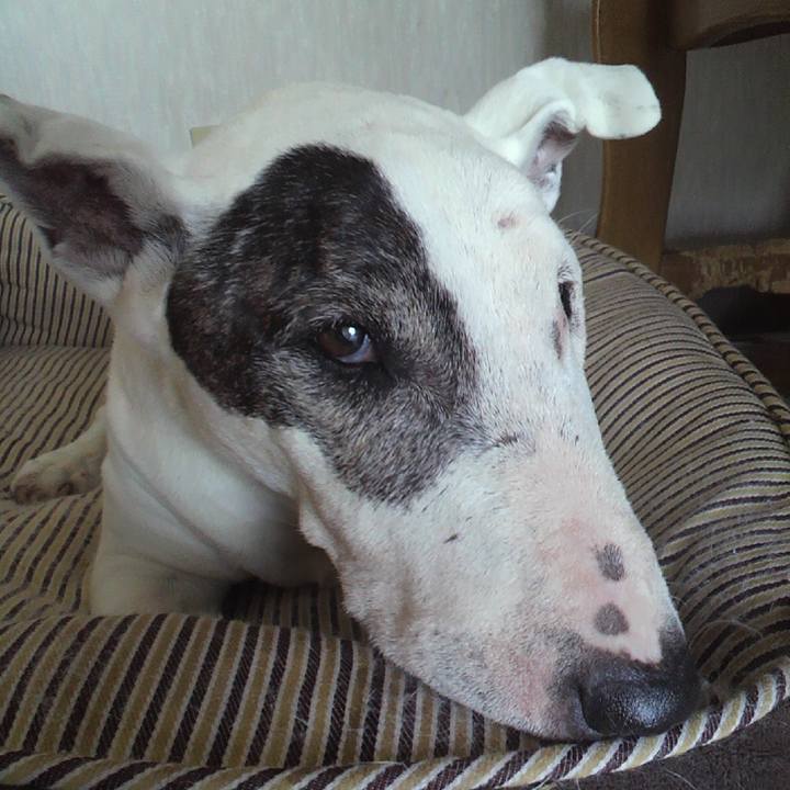 E1f279fb 3d59 46b9 a70e b479ba0f964b