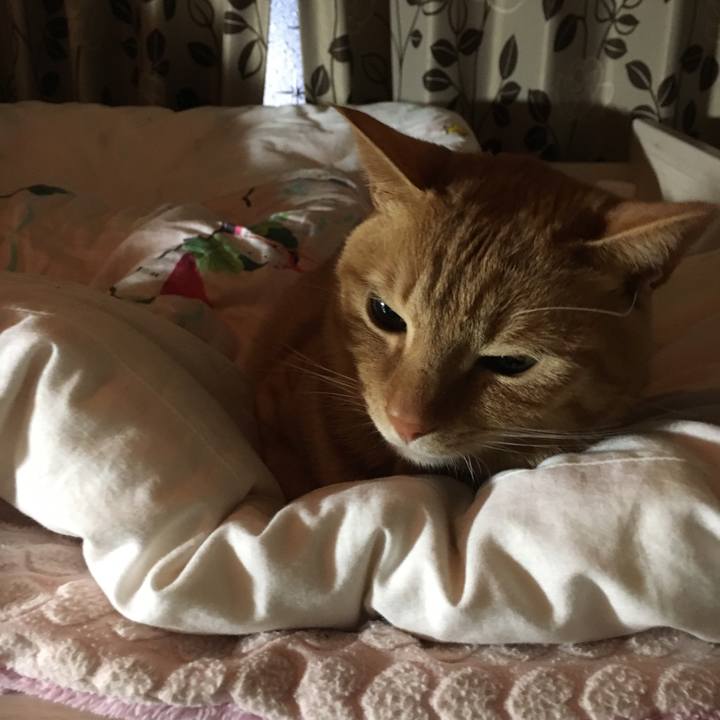 E1f31ab9 7baa 45a8 ad04 0fa83ab6cb62