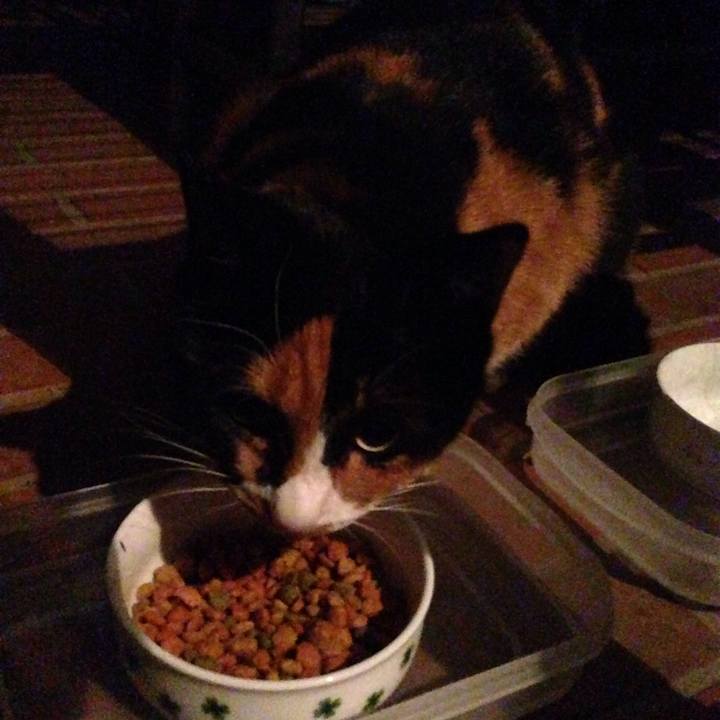 E1f36495 d668 4e55 84bf 9754a0bebfa2