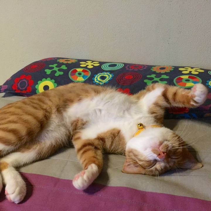 E1f39d69 df3f 46b5 ac44 5e0f4e9a6e5b