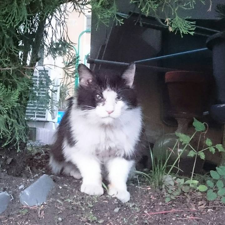 E1f3b3f8 b0a9 4034 bfef 423170759ca7