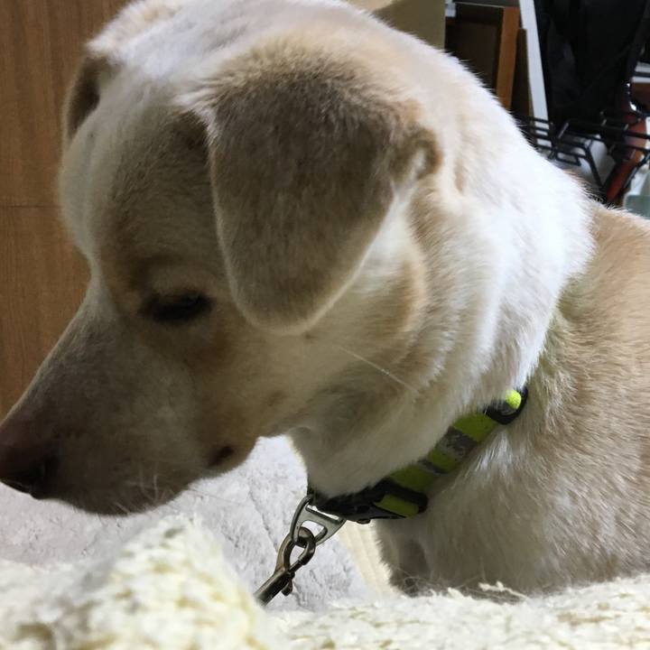 E1f4146c add6 4f2c beb4 20495e4994fd