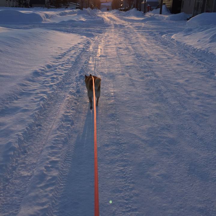 E1f4316d 0e2f 4493 9503 c5b5e86ac74f