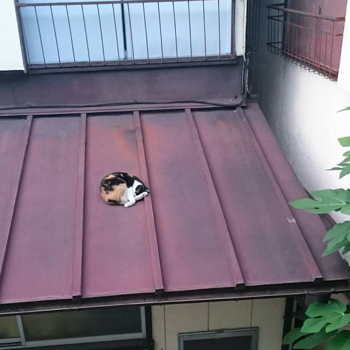 E1f44ff2 41dd 4580 ba2d 8b7ceb1999aa