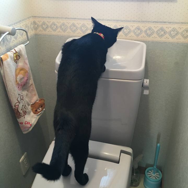 E1f45d18 bff0 45e9 a00b e2448c60bbd4