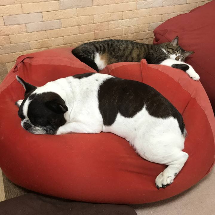 E1f4a325 595b 4838 aa8e 3792454c5cf0