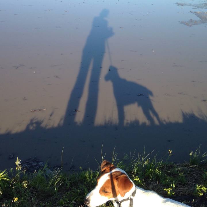 E1f5865c 5693 4a34 9860 865dea8c4336