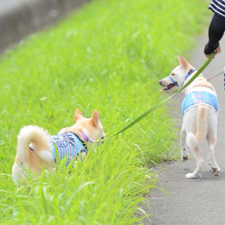 E1f652fd 7a4d 4af8 97cb 0c707f4a6f75