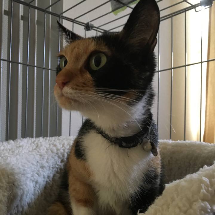 E1f6e5a0 6ab1 48d2 b37e f8013ec0743c