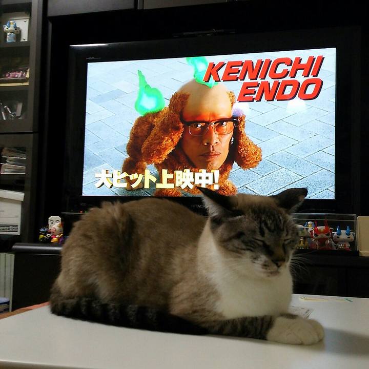 E1f75566 d097 4c4a 83a1 e04416a60b4f