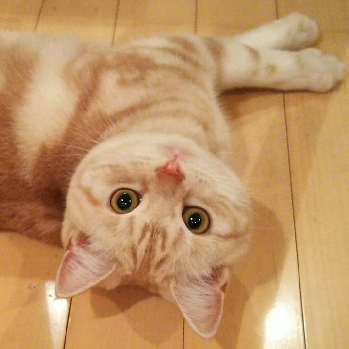 E1f759ef fb3e 46e8 adf4 068b85558001