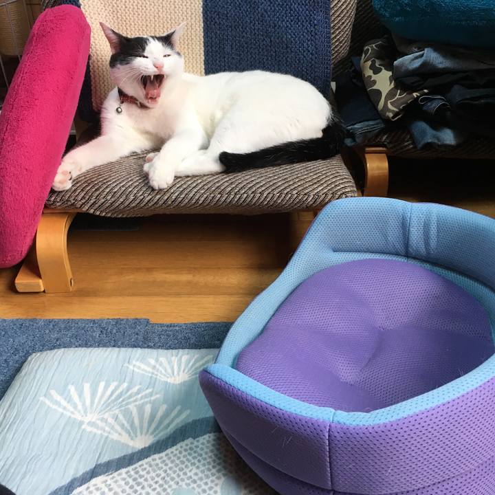 E1f7a336 f7e0 4b48 aed7 5e0b34c75e2a