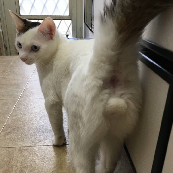 E1f7addc 1bd3 420a 879c a0c677d33e51