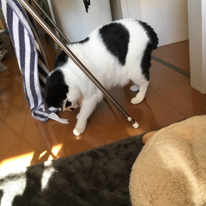 E1f7fbd4 5bc9 4347 850d 1d10c4054f79