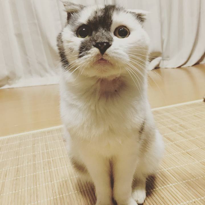 E1f826e5 893f 4bae b4a6 3ada5a2cd7b2