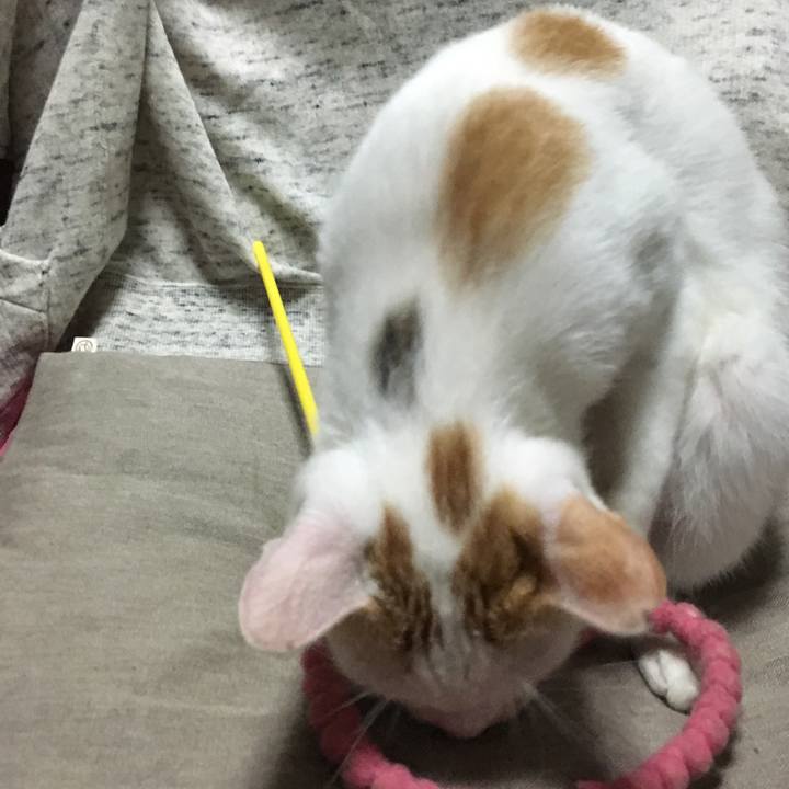 E1f87659 8a68 482e a909 60147484e8ed