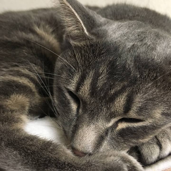 E1f88756 d39c 4069 b65c cf5aea61eb28