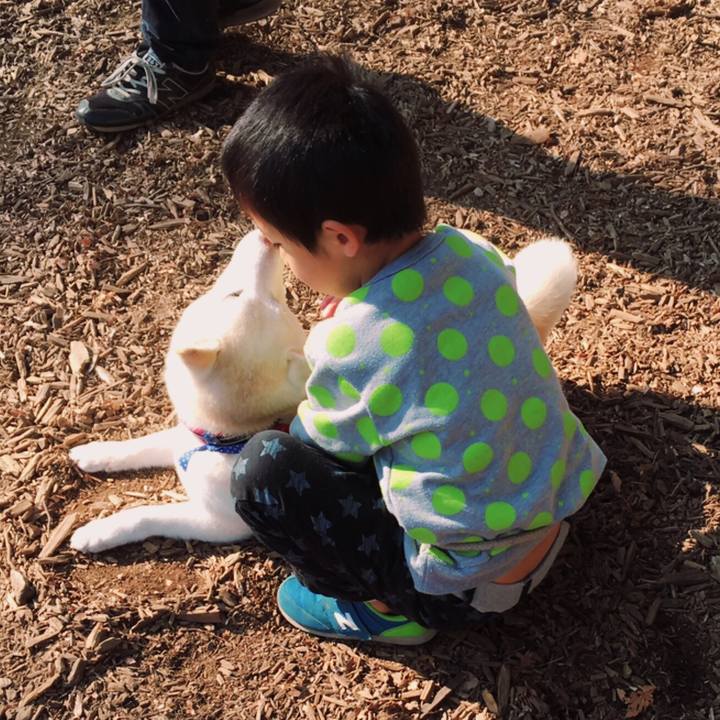 E1f8909b 1a6a 43df 8f21 97808943ded0